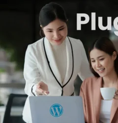 The Ideal Number of WordPress Plugins